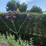 Zia Regina Bed & Breakfast 3*