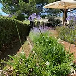 Zia Regina Bed & Breakfast