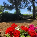 Zia Regina 3*