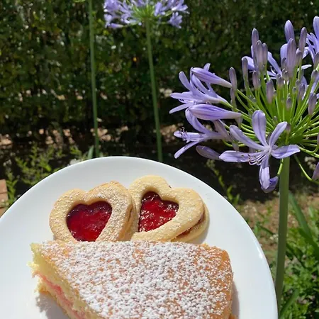 Bed & Breakfast Zia Regina
