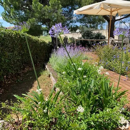 Zia Regina Bed & Breakfast