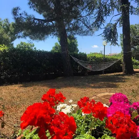 Zia Regina 3*